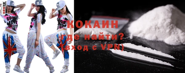 стаф Вяземский