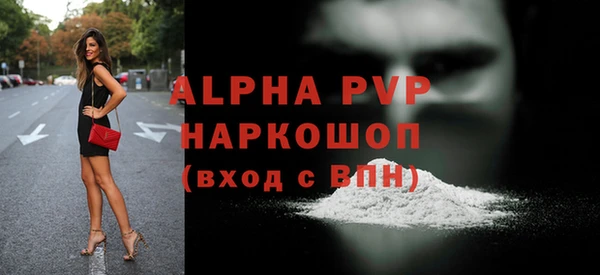 стафф Арсеньев