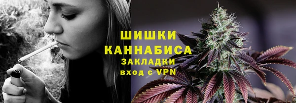 прущая мука Дмитриев