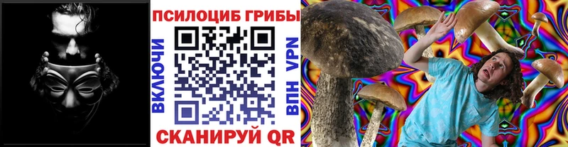 shop Telegram дарнет шоп Островной Галлюциногенные грибы Cubensis